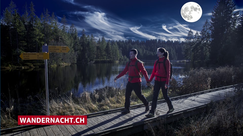 Zwei Wanderer bei Mondschein. 