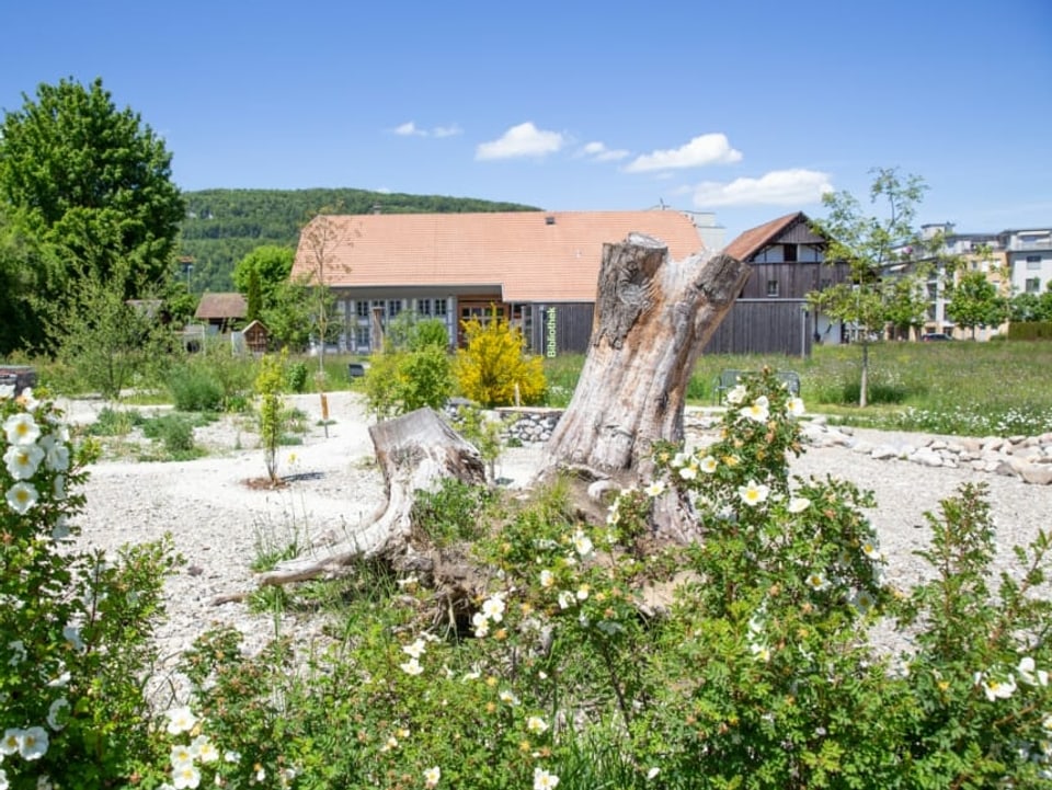 Sträucher, Haus im Hintergrund.