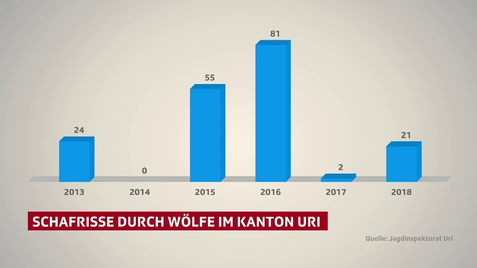 Grafik, welche die Zahl der Wolfsrisse im Kanton Uri zeigt.