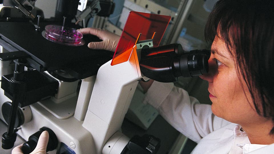 Eine Frau im Labor schaut durch ein Miksoskop.