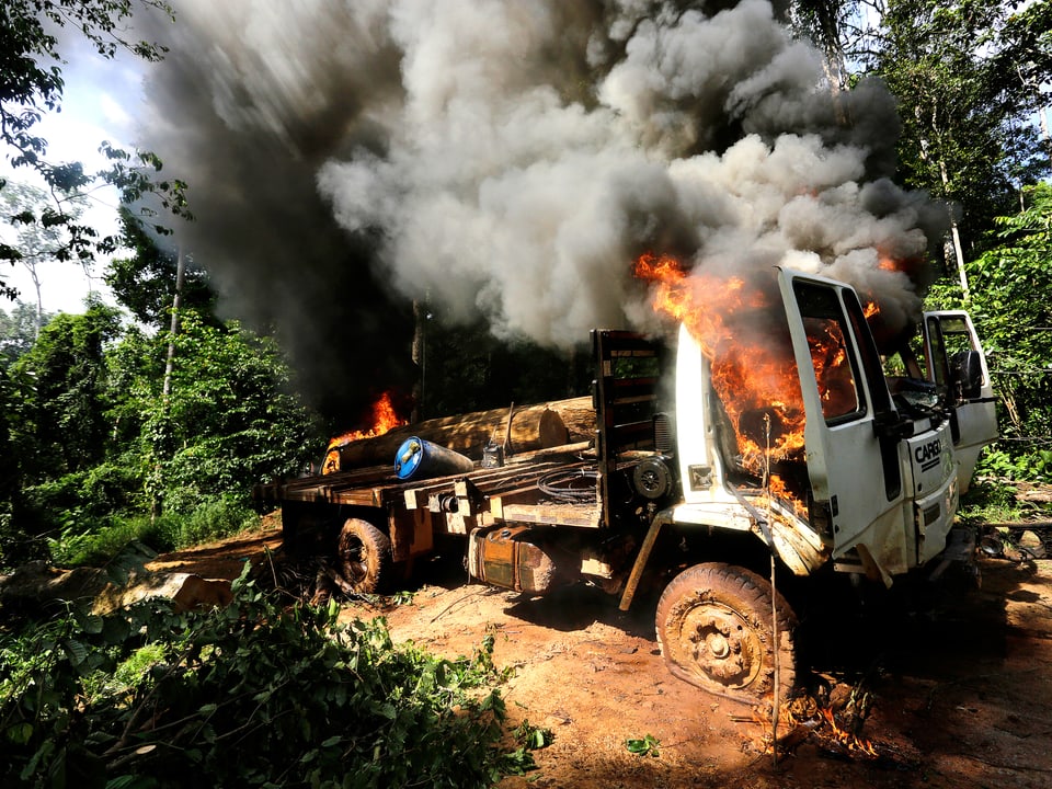 Ein Lastwagen der Holzmafia im brasilianischen Bundesstaat Maranhão brennt, nachdem er von Kriegern der Ka'apor-Indianer angezündet worden ist.