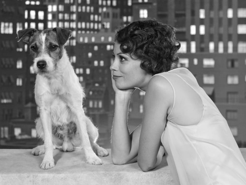 Absolut sehenswert: Bérénice Bejo und der Filmhund Uggie. 