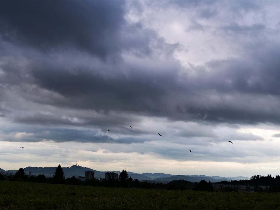 Dunkle Wolken, Vögel in der Luft.