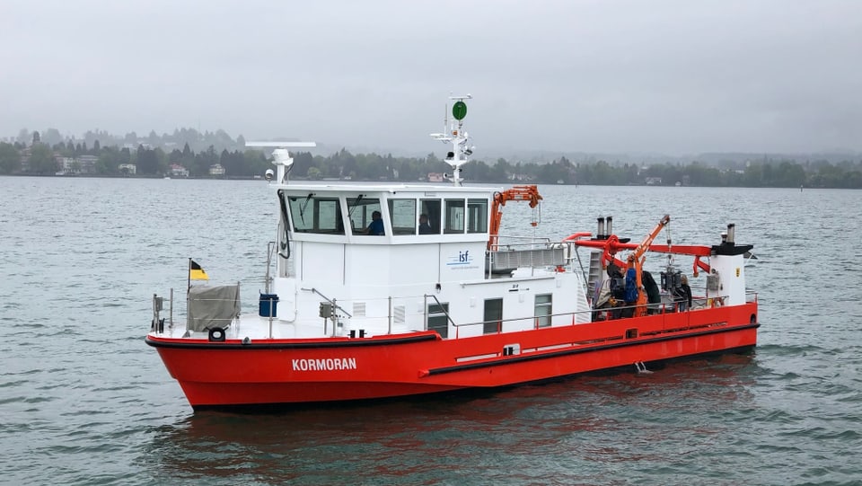 Auf dem Forschungsschiff «Kormoran» des Instituts für Seenforschung entnehmen Wissenschaftler Sediment-, Wasser- aber auch Planktonproben des Bodensees und können so die Wasserqualität und den Zustand des Sees ermitteln.