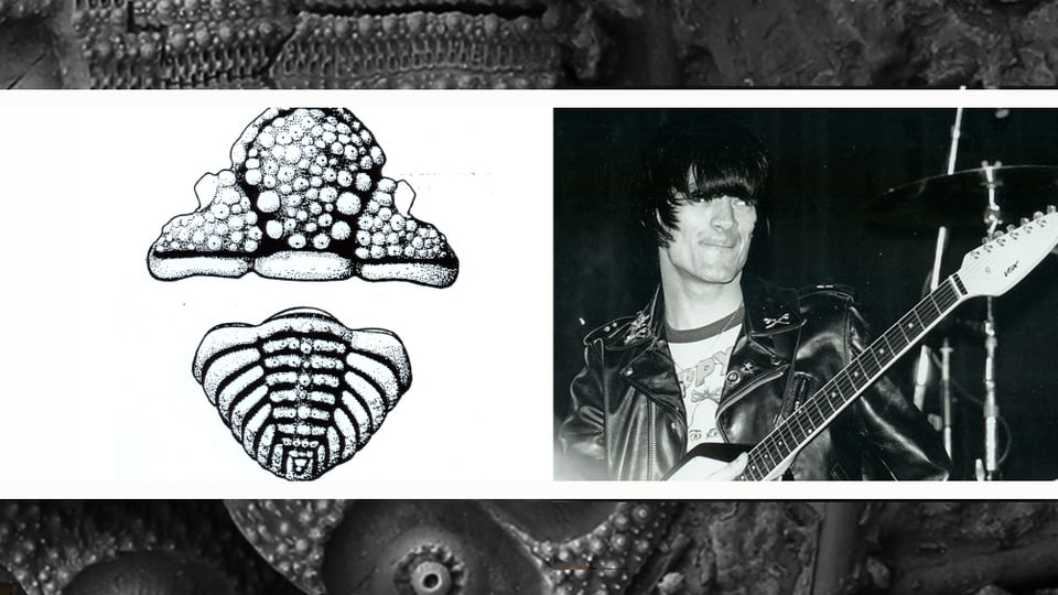 Links: das Fossil Mackenziurus Deedei, rechts: Dee Dee Ramone von den Ramones