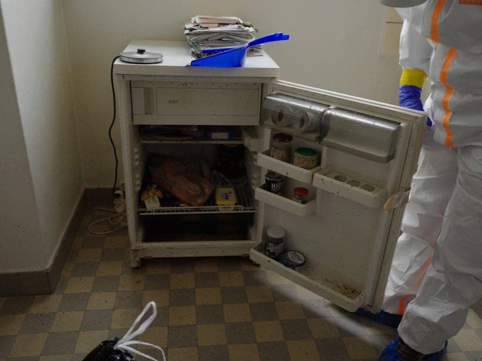Ein kleiner weisser Kühlschrank mit Lebensmitteln ist mit ganz vielen kleinen toten Maden übersät.