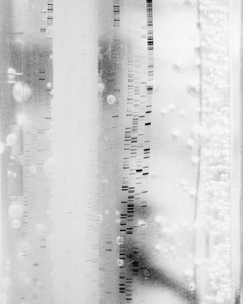 Fotografien von Hans Danuser «Diese Kunst ist grosse Klasse und von