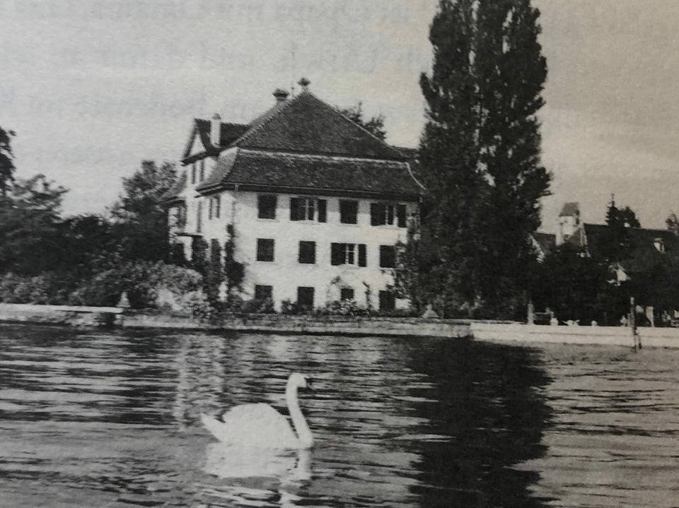 Herrschaftliche Residenz direkt am Bodensee.