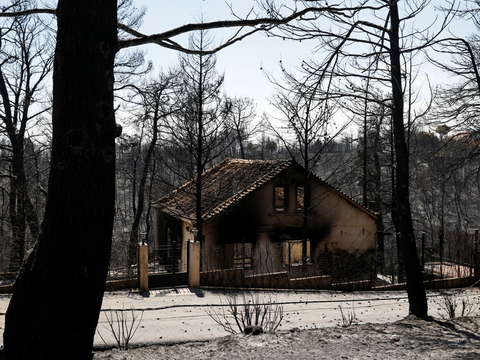 Ein verbranntes Haus. Rundherum stehen verkohlte Bäume.
