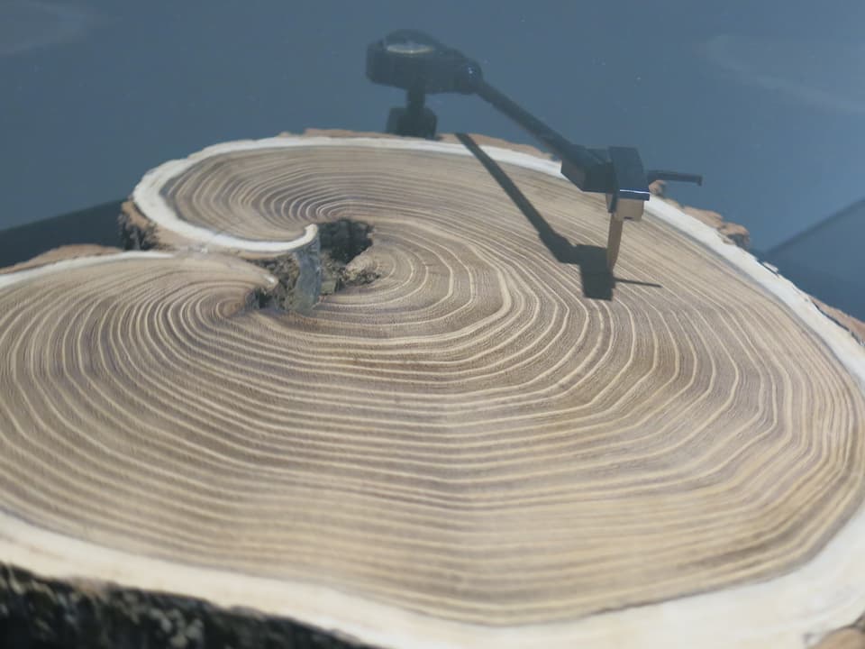 Anstatt einer Schallplatte dreht ein Stück Holz im Plattenspieler.