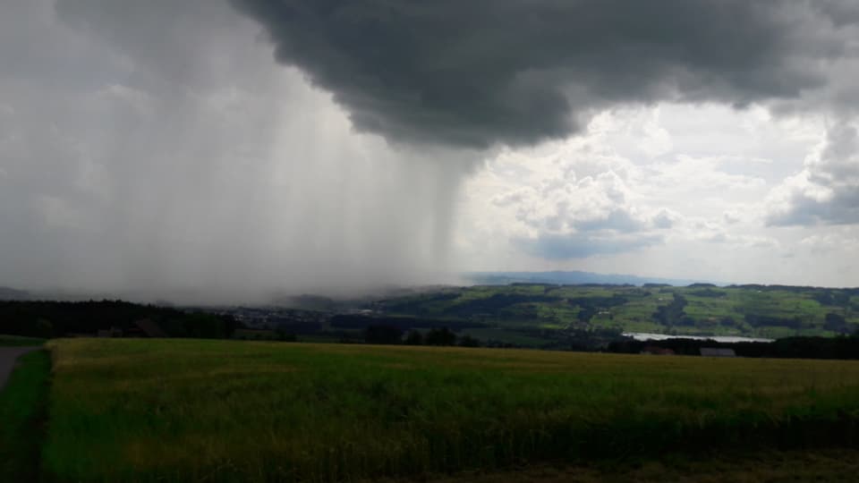 Schauerzelle mit Regenvorhang bei Hochdorf.