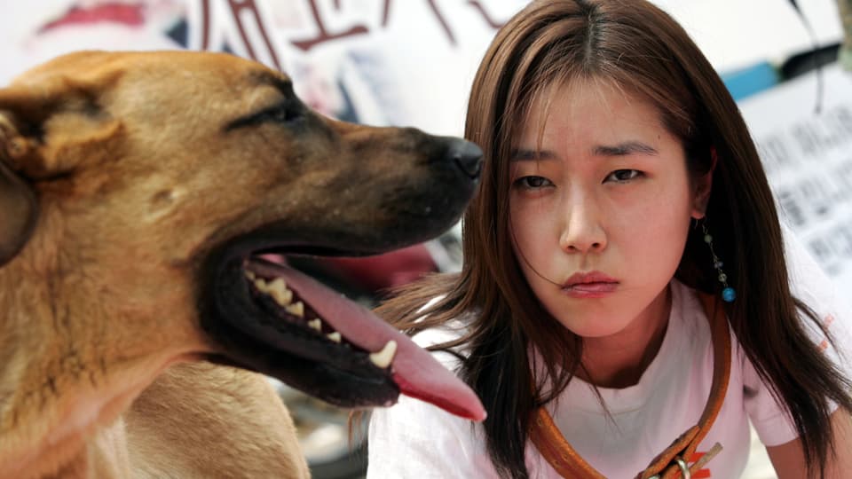 Südkorea verbietet Hundefleisch: Welche Tiere isst der Mensch?