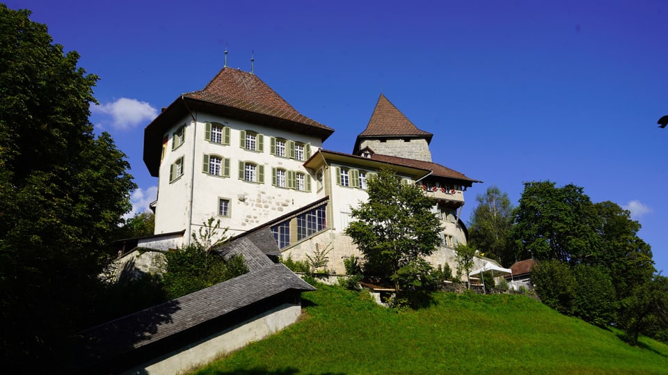 Schloss Trachselwald Ein Schloss auf einem Hügel, von Bäumen umgeben, blauer Himmel.