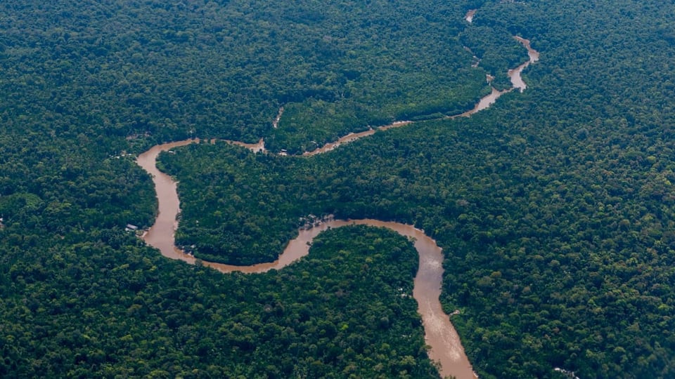 Amazonas von Oben.