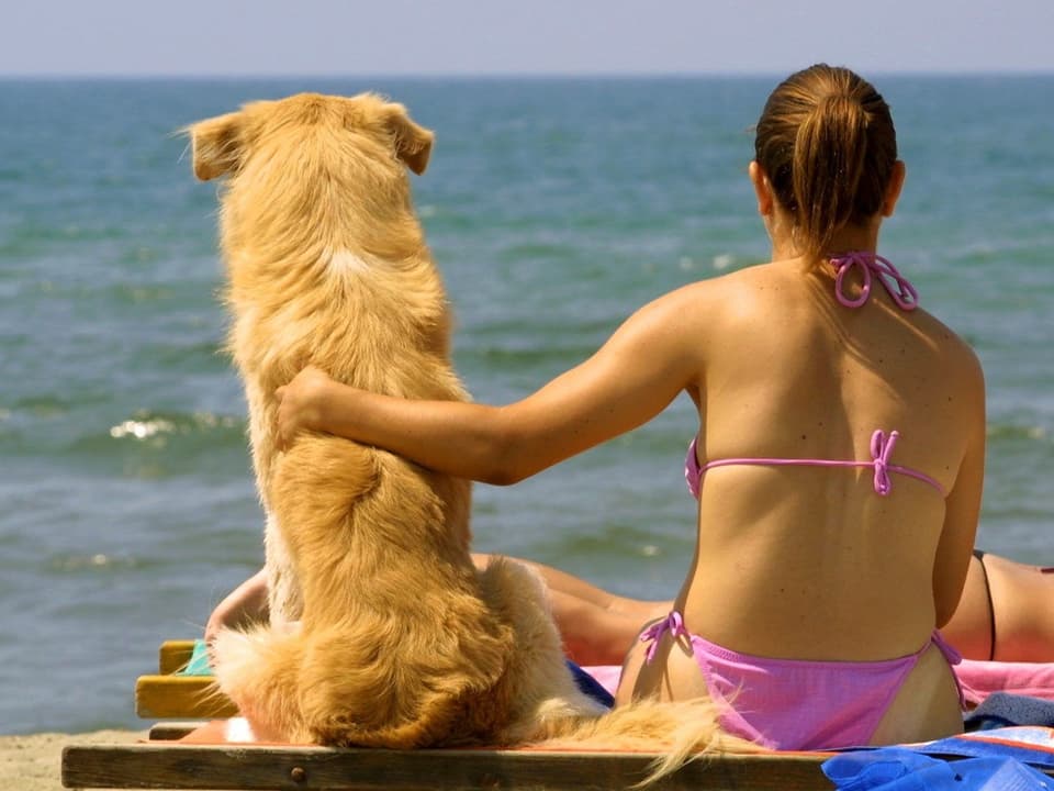 Eine Frau auf eine Liege, daneben ein Hund. Beide schwitzen in der Sommerhitze, ihr Blick geht in Richtung Wasser.