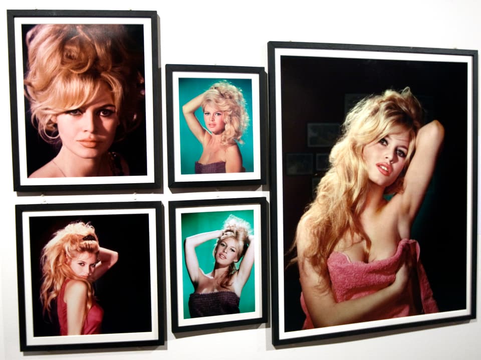 Eine Auswahl von Portrait-Bildern mit Brigitte Bardot, die 2009 im Rahmen einer Ausstellung gezeigt wurden.