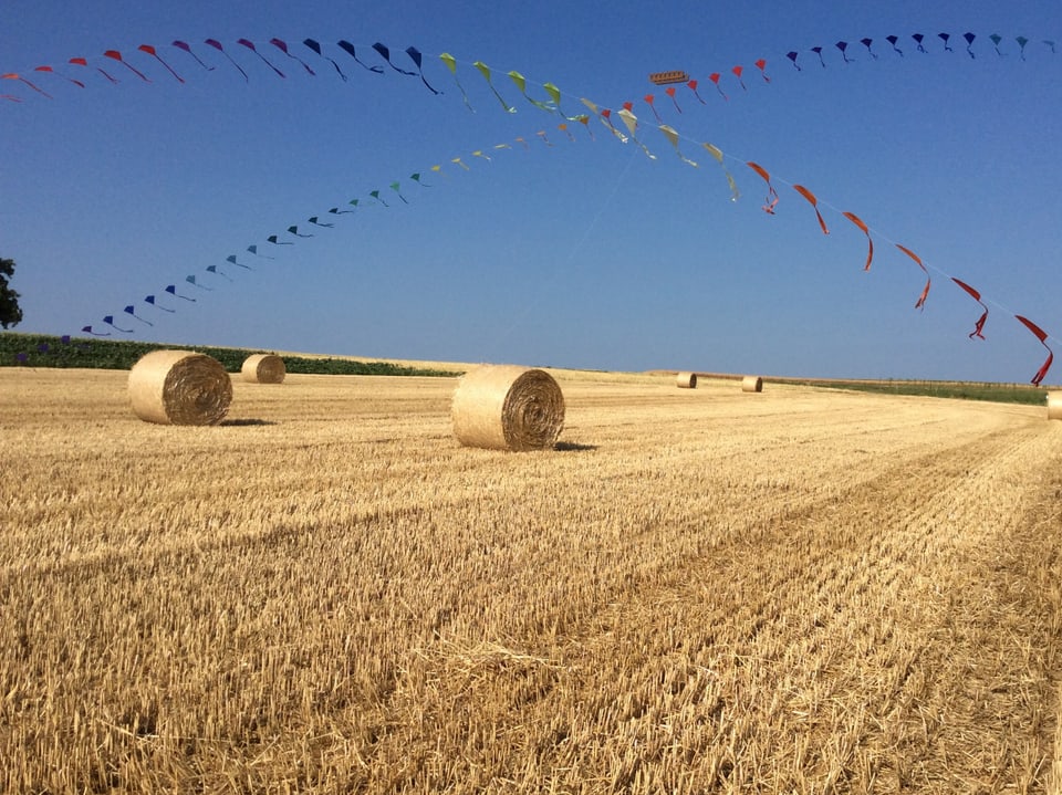 Der Weizen ist geerntet und liegen in Ballen auf dem Feld. Der Himmel ist stahlblau. Über den Feldern fliegen viele Drachen, welche an einem Seil zusammen gehängt sind.