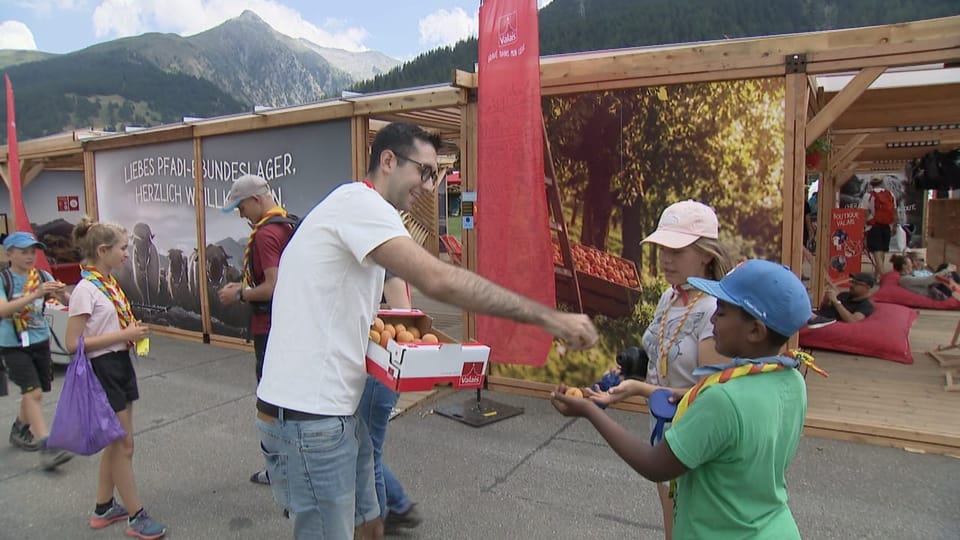 Die Walliser Tourismusorganisation verteilt Aprikosen