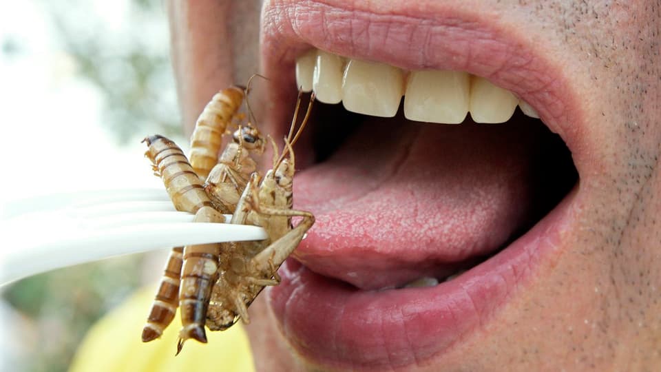 Ein Mann isst Insekten.