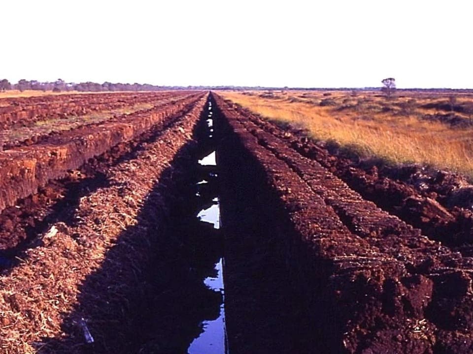 Bild einer ausgetrockneten Moorlandschaft durch industriellen Torfabbau