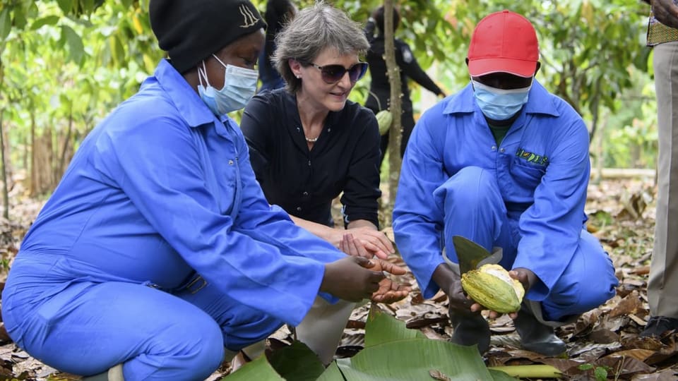 Sommaruga besuchte im Juli dieses Jahres eine Kakao-Plantage in Ghana im Rahmen eines Arbeitsbesuches im Land.