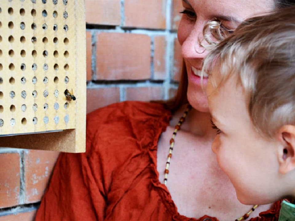 Zwei Kinder beobachten eine Biene im Holzkasten