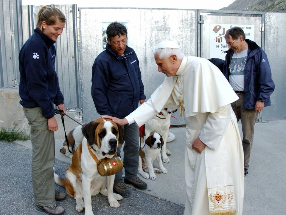 Der Papst streichelt einen Bernhardiner. 