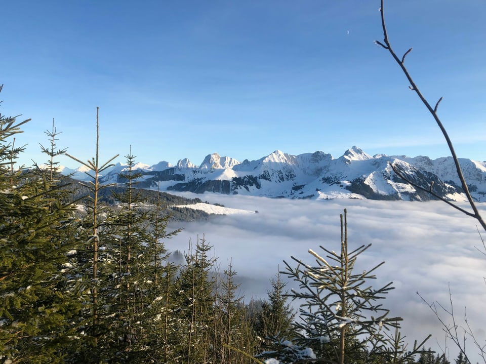 Winterlandschaft über dem Nebel
