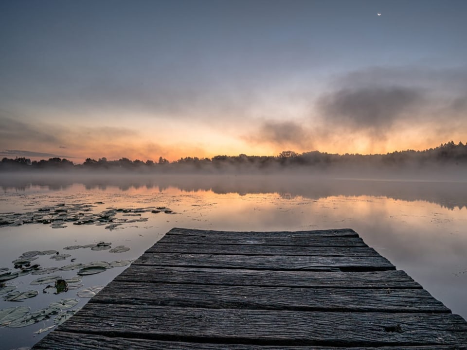 Ein Steg führt auf einen See bedeckt von Nebel