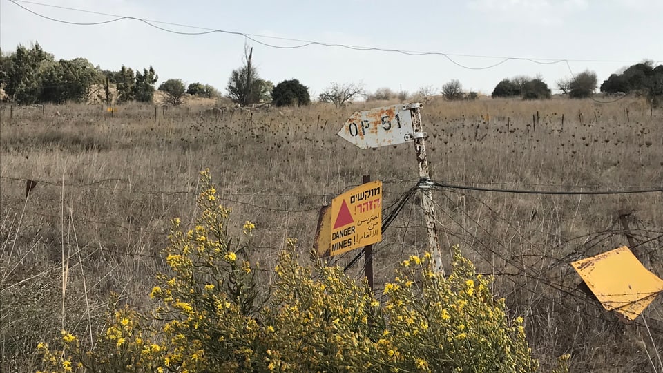 Verdorrte Wiese, darauf gelbe Schilder mit Warnungen.