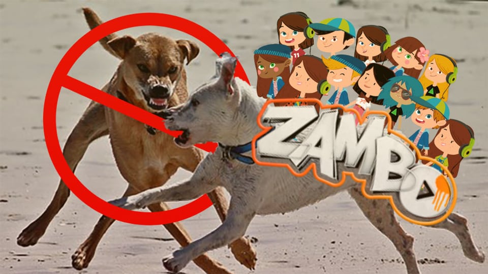 Hunde streiten, Zambo-Mitglieder greifen ein.