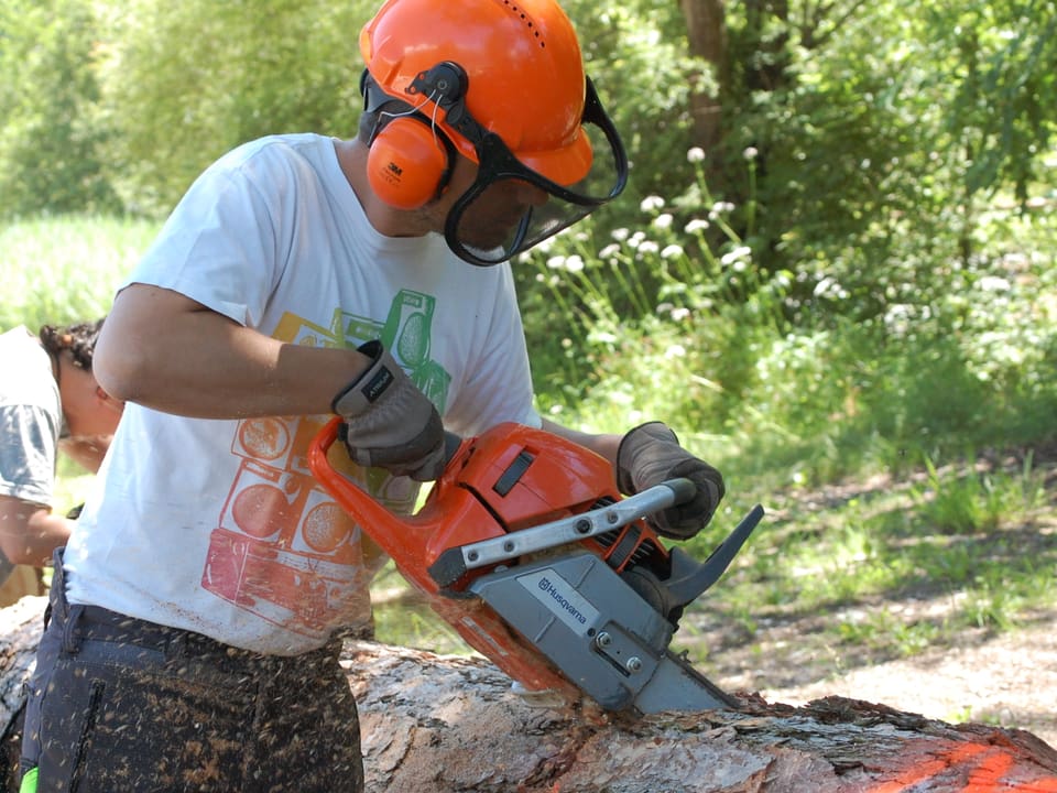 Mann mit Motorsäge und Holzfällerhelm zerteilt einen Baumstamm.