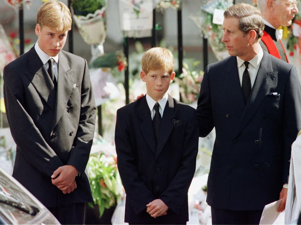 Harry bei Dianas Beerdigung