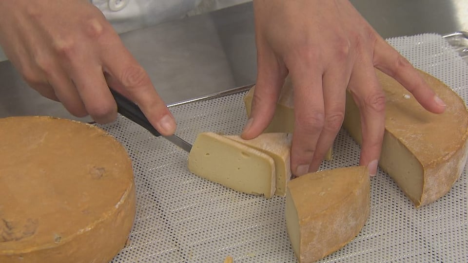 Nahaufnahme pflanzlicher Käse, der geschnitten wird.