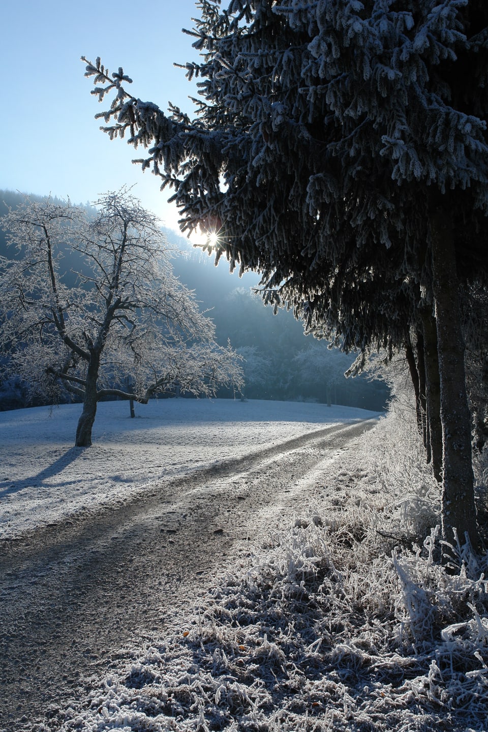 Verschneiter Waldweg.
