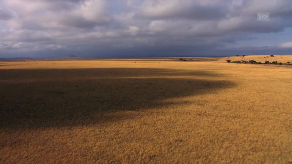 afrika der ungezähmte kontinent afrika der ungezähmte kontinent