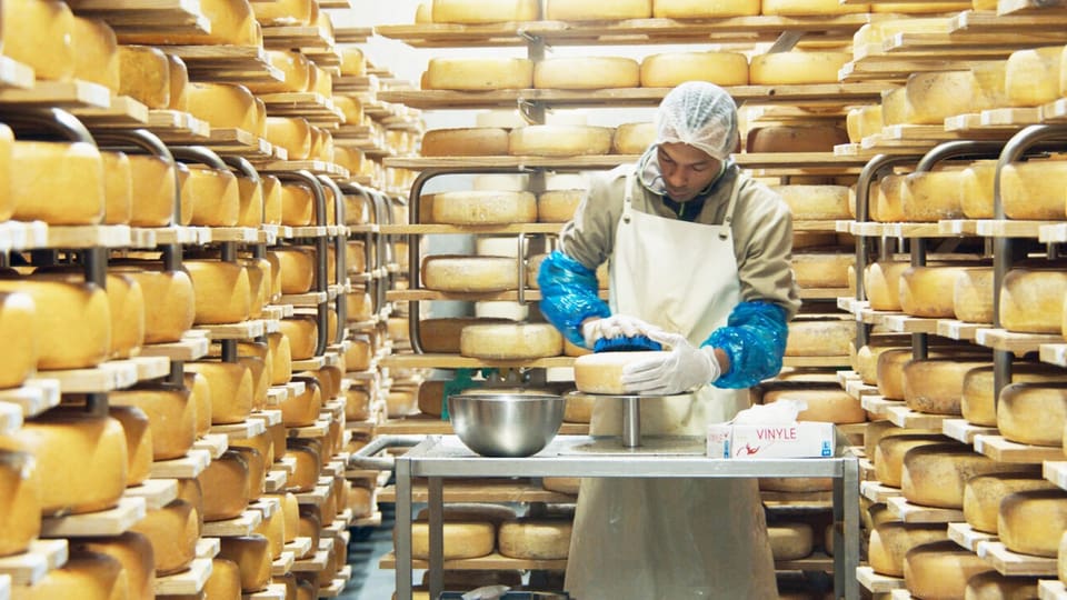 Ein junger Mann steht in einem Raum voll von Käse. Er bearbeitet einen Käse auf einem Tisch.