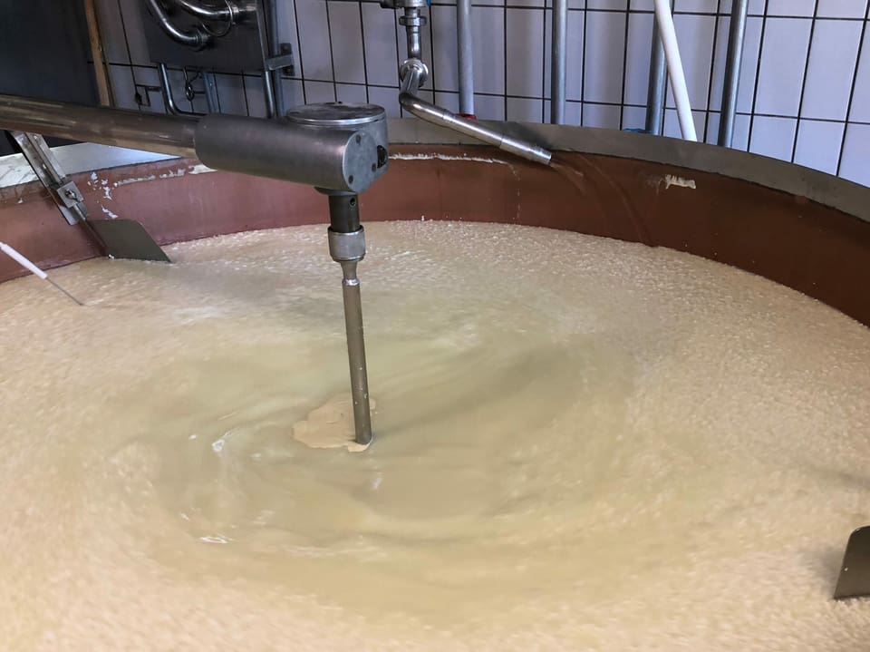 Milch wird in einem Kupferkessel geschnitten.