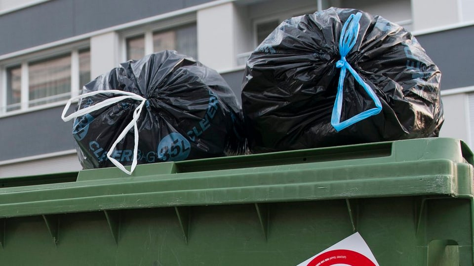 Zwei Abfallsäcke auf einem grünen Container vor einem Wohnblock