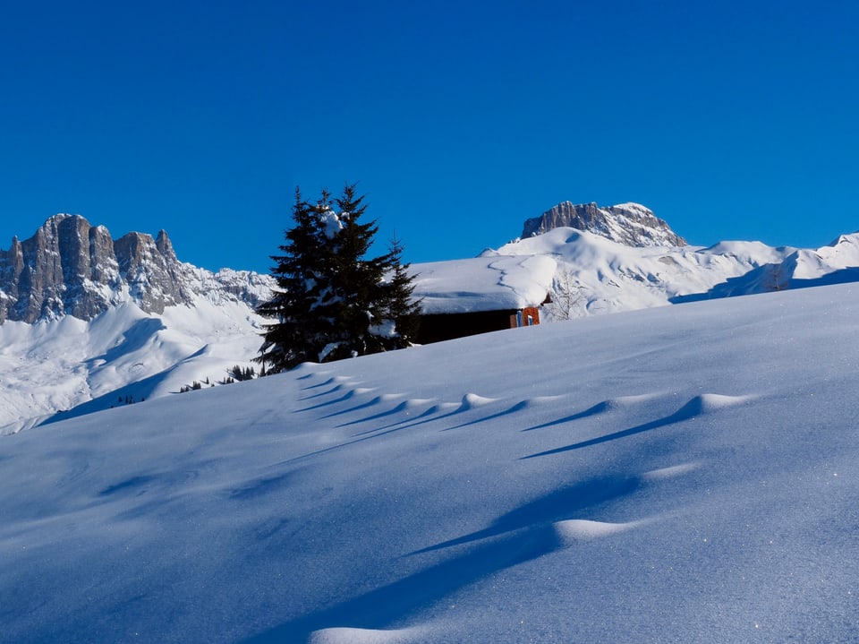 Eine dicke Schneedecke liegt auf dem Hang der Zaun ist nahezu bis obenhin eingeschneit. Dahinter Bäume und Berge, darüber der wolkenlose Himmel.