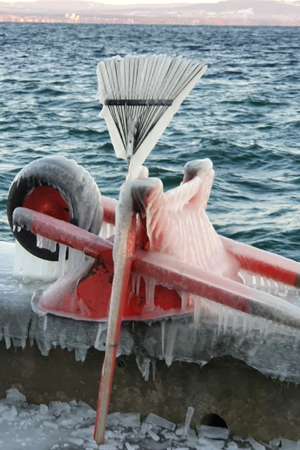 Eine Schubkarre und ein Rechen der eingefroren ist steht neben dem Bodensee.