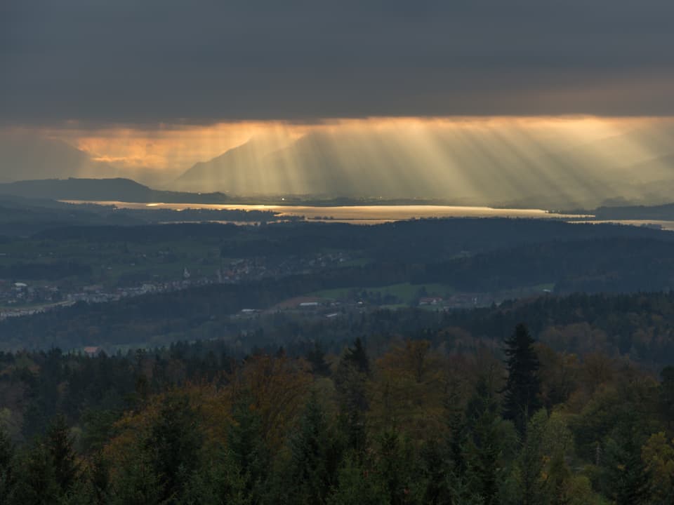 Dunkles Foto, unten farbiger Wald, dahinter Blick auf Zürichsee und Landschaft. Der Himmel ist bedeckt, am Horizont ist die Wolkenschicht jedoch fertig und die Sonne drückt durch. 