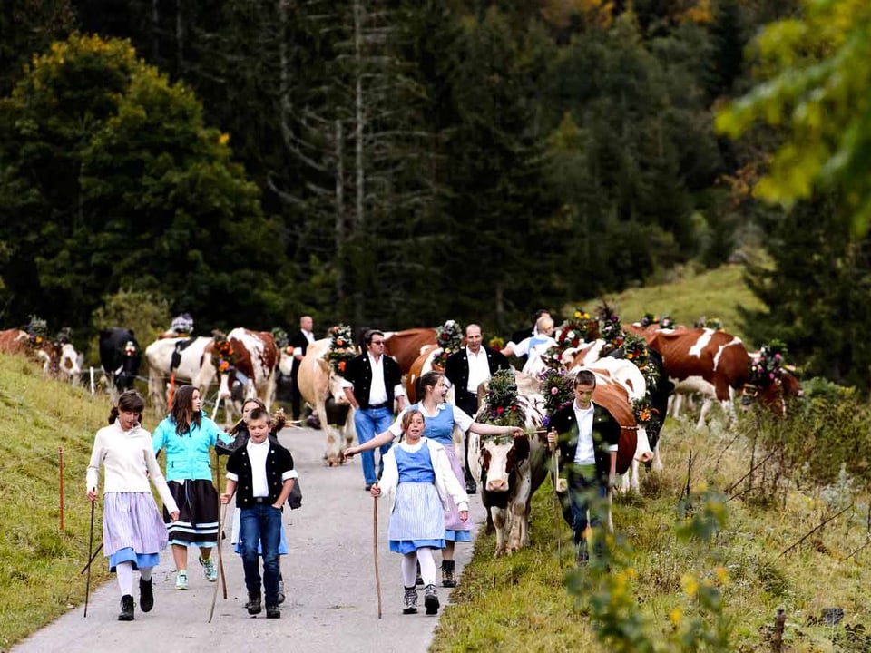 Kinder in Tracht gehen vor den Kühen über einen Weg.