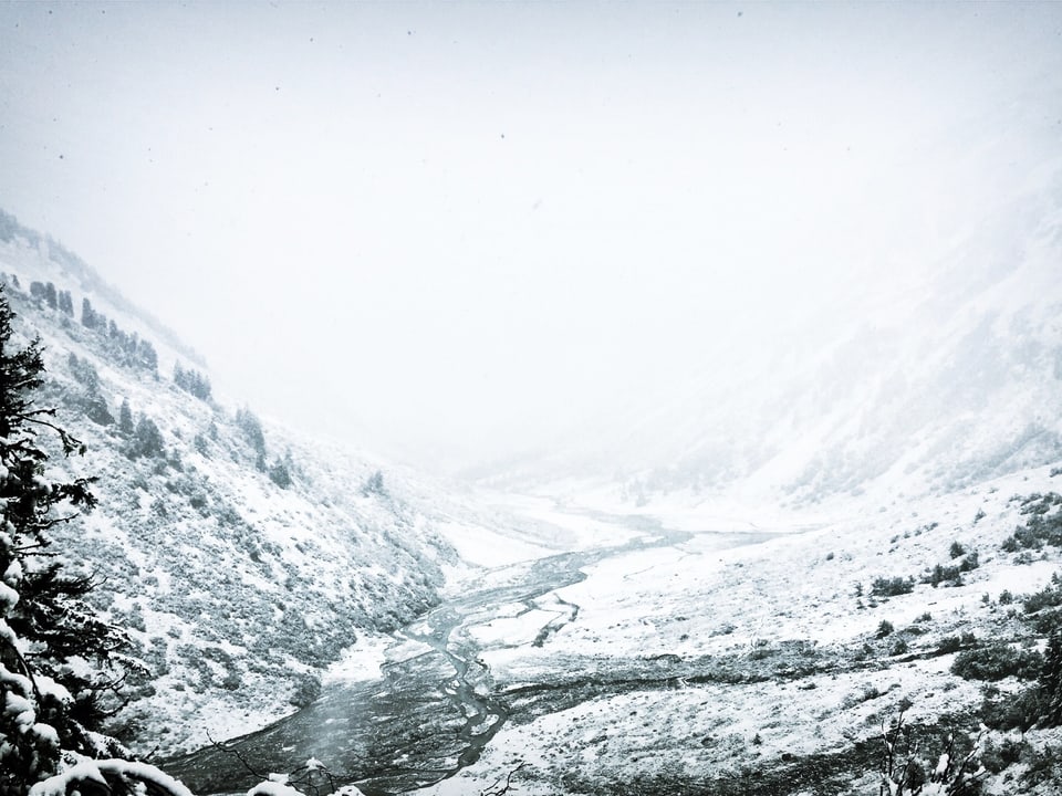 Weiss verschneite Landscahft bei Klosters - Alp Sardasca