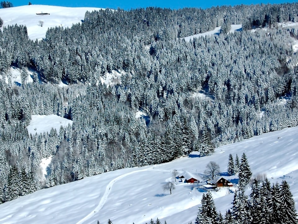 Verschneiter Wald und Holzhütten.