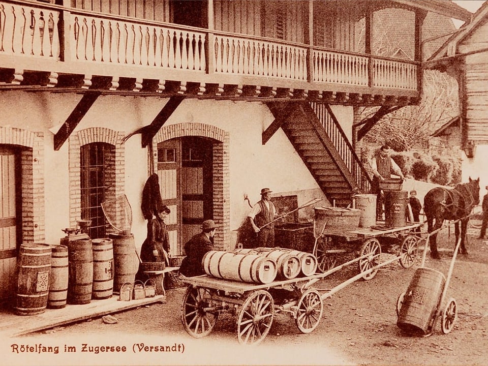 Das Bild zeigt ein Pferdegespann mit Fässern, in denen lebende Rötel sind.