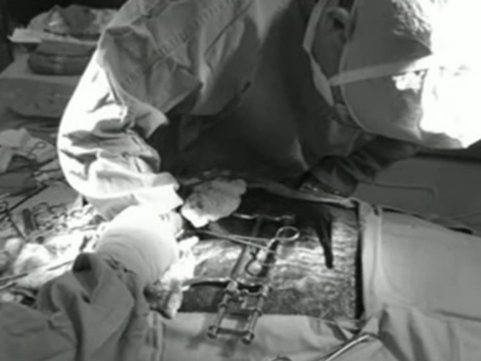 Die Robbe auf dem Operationstisch. Ein Arzt entfernt den verschluckten Angelhakren. (NOAA Fisheries)
