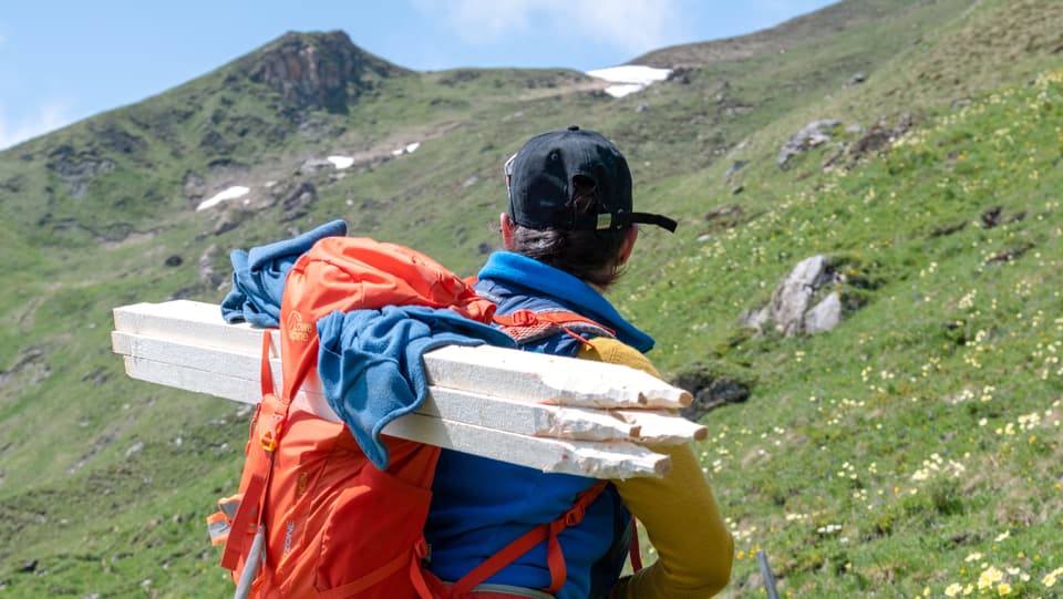 Eine Frau auf einer Alp, schwer bepackt mit Pfählen und Drahtrollen.