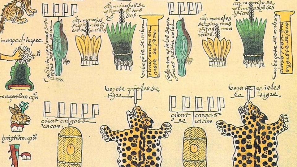 Zeichnungen von Leopardenfellen und Federn aus dem Codex Mendoza.