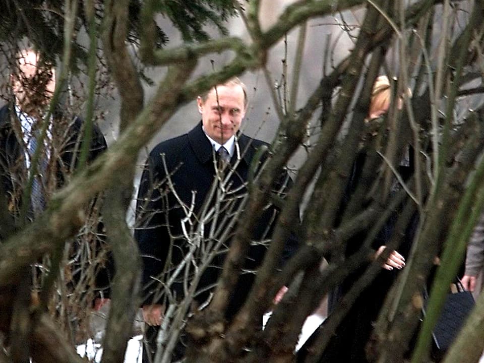 Putin durch Unterholz hindurch fotografiert.